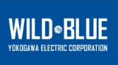 WildBlue